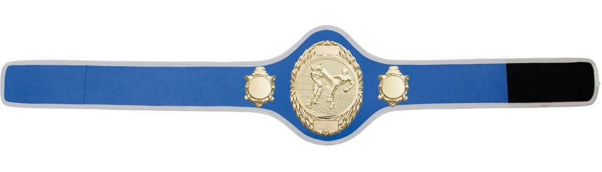 KICKBOXING CHAMPIONSHIP BELT-PRO286/G/KBOG-10+ COLOURS